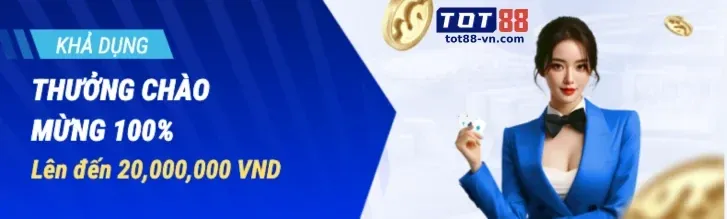 Giấy phép hoạt động